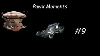 Pawx Moments #9