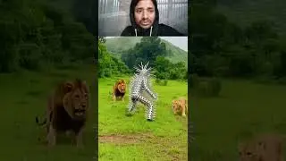 lion versus cactus men #sorts