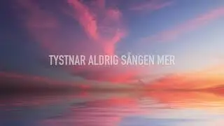 NÄR VI KOMMER HEM - Evelina Gard (Lyricvideo)