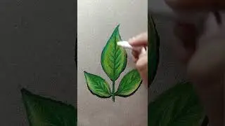 Bel Patra🔱🚩realistic 🌿drawing with pencil 🎨#art #shorts