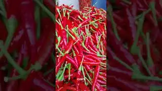 Thai Birds Eye Chilli - A Spicy Addition to Your Kitchen