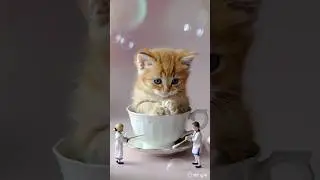 Tiny Cleaners 🫧 | When Mini People Give Animals a Spa Day!