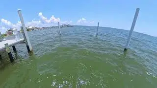 Dink City!!! Summertime Redfish and Flounder.