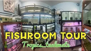 Fishroom tour June 2022