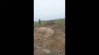 Joki muda meluku tanah lengket dan kurang air #traktor #traktorsawah