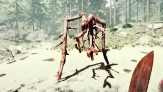 Megan in the forest after the fight