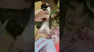 Queta namkeen Rosh in Mansehrra