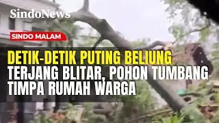 Puting Beliung Terjang Ponggok Blitar, Pohon Tumbang Timpa Rumah Warga | Sindo Malam | 31/01