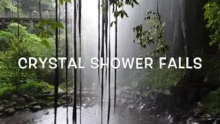 Crystal Shower Falls inside the Dorrigo National Park