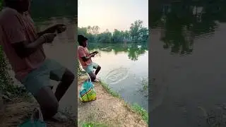 The Traditional Boy Caught Big Fish Using Meat as Bait #shorts #fishingtechniques #viral #ytshorts