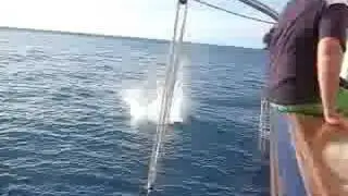 Whitsunday magic olympics