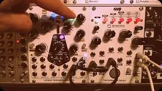 Tapographic Delay patch: Complex Chorus