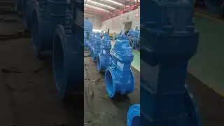 Cast iron resilient seal gate valve