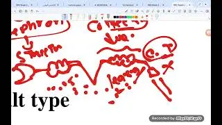 Pathology of renal system kidney disease part 1