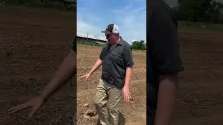 Soil to Oil