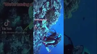 Helping The Coral Rreef, One Weird Looking Rock At A Time 🪸 🌊 #NevescotsProject