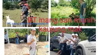 PORBI PT INANG SARI #berburuhamababihutan #dilubukbasung#by #by #by #by #by