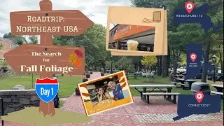 Search for Fall Foliage - Northeast Roadtrip Day 1