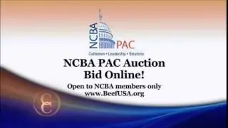 PAC Auction (C2C)