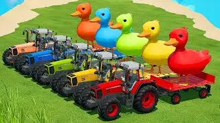 LOAD AND TRANSPORT GIANT DUCKS & DIFFERENT WATERMELONS WITH FENDT TRACTORS - Farming Simulator 22