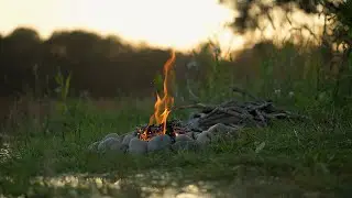 Nature of Sweden | Peace and tranquility