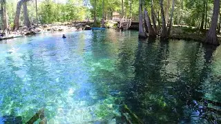 Freshwater Paradise In Florida: Camping Kayaking Tubing At Ginnie Springs Outdoors Near Gainesville