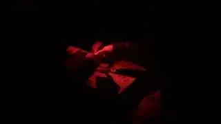 Most Haunted Experience, Annison Building Hull