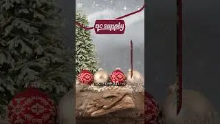 Gifting Dilemma Solved: 5 Unique Gifts to Save the Day at QC Supply!