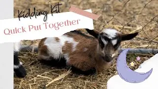 Kidding Kit | 2022 | Who Is Going To Kid First!?
