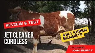 alat bantu memandikan sapi ❗❗❗jet cleaner cordless JLD tools