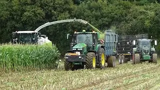 Maize Harvest 2020 with Claas Jaguar 970 plus John Deeres, Fendts, JCB and NEW 7R 330 Gen 2!