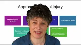 Spinal trauma