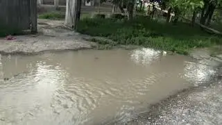 VIITURA PE PRUT 24 IUNIE 2020