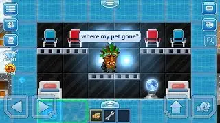 NO PET's SHOW IN GAME!? - PIXELWORLDS