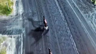 LEAP TO FAME | 2024 Australian Harness Horse Of The Year