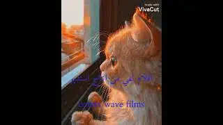 افلام انمي من انتاج استديو comix wave films