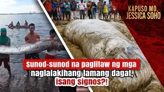 Sunod-sunod na paglitaw ng mga naglalakihang lamang dagat, isang signos?! | Kapuso Mo, Jessica Soho