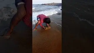 Catching Mole Crab's with Empty Hand #fishing #fishingvideos #thoondilulagam #seafishing