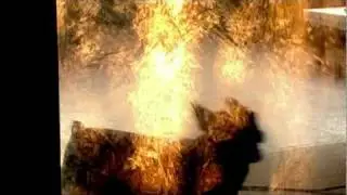 Dog Panic หมาจิตหลุด: FMP - ตอนที่ 2