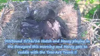 Delta 2 2012 MNBound 5/16/16 Hutch and Henry playing in  the Boneyard