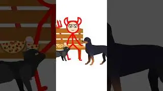Cat and dog beg for food #shorts #funny