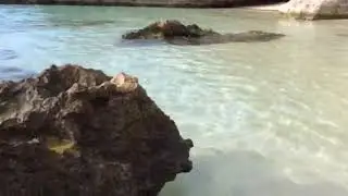 Pessada Beach Kefalonia