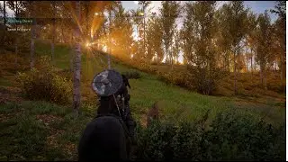 Assassin's Creed Valhalla - LIVE