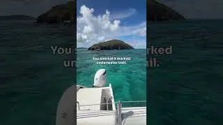 Buck Island Reef, St. Croix,US Virgin Islands. Let&rsquo;s get you here!  #cruise #vacation #stcroix