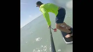 Demo F-One Eagle 990 w/ GP Selfie Stick w Fly.Foil.Kite
