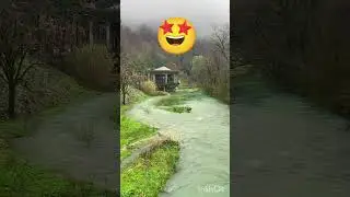 Nature Is My Home#Splendid Nature🌿🍃#