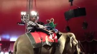 Calgary Circus