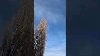 New lofi track coming : stereo mist &bull; River Drift #lofi #lofibeats #nature #hyperlapse #lofimusic