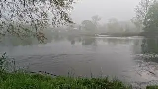 river fog