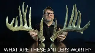 What is the VALUE of this set of sheds? Lets take a look into why they are valued at what they are .
